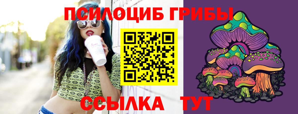 Куйбышев  Галлюциногенные грибы Magic Shrooms  Вход с VPN 